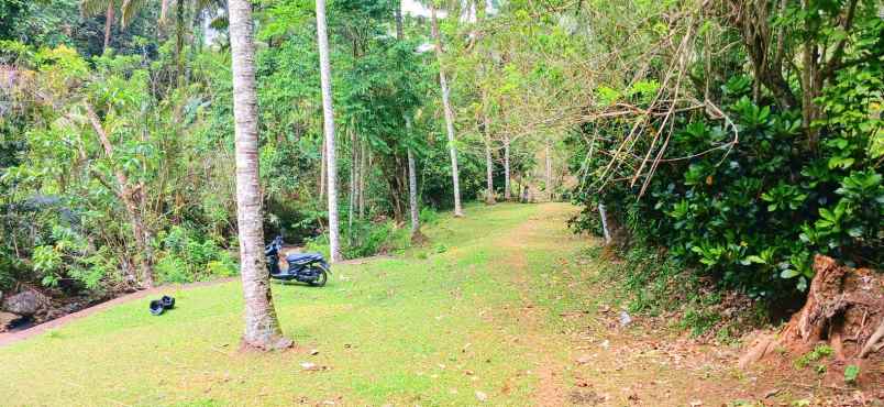 dijual tanah manikyang tabanan bali