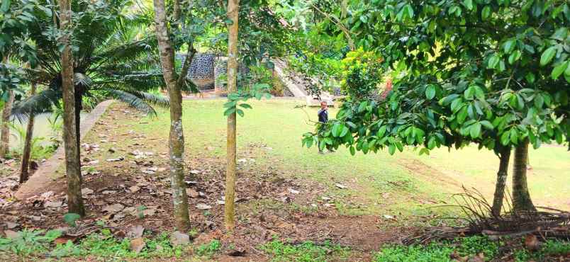 dijual tanah manikyang tabanan bali