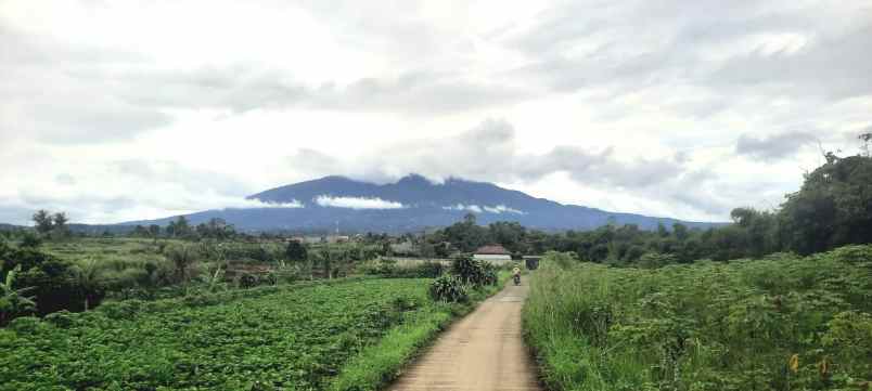 dijual tanah murah di ciherang dramaga kota bogor