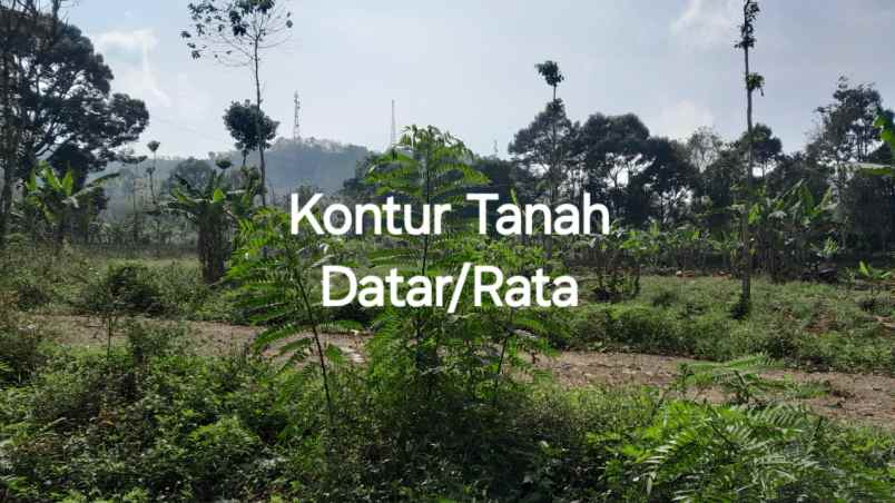 dijual tanah nagreg