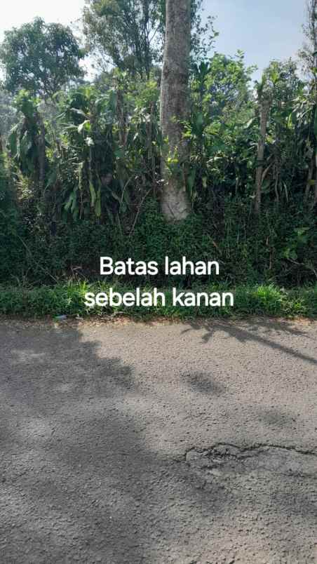 dijual tanah nagreg