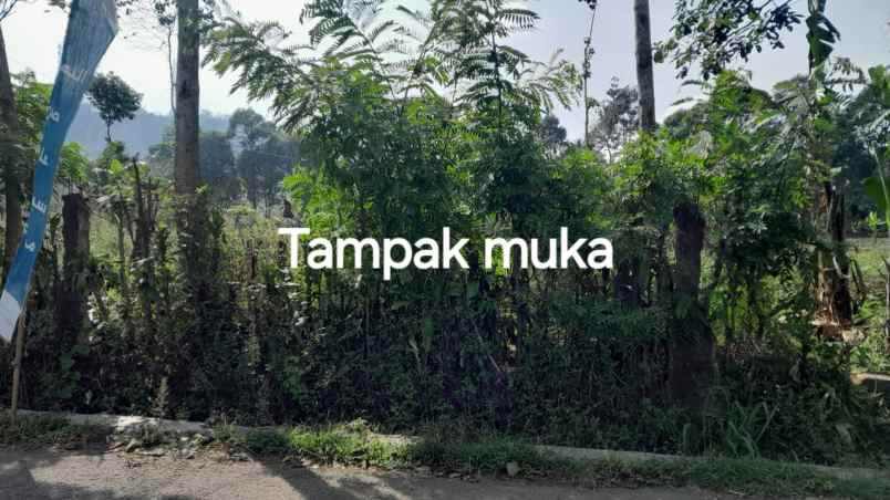 dijual tanah nagreg