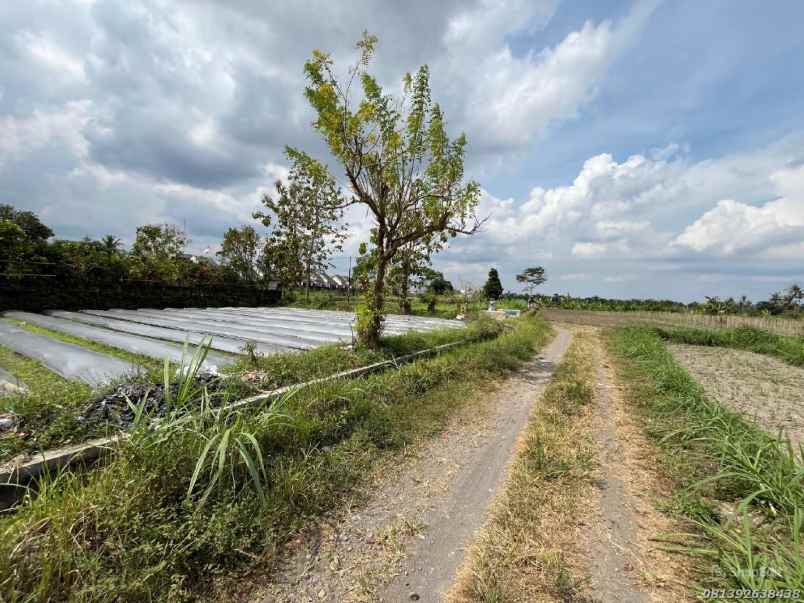 dijual tanah ngaglik