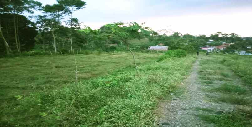 dijual tanah pamucatan