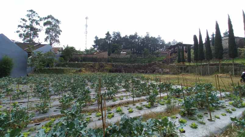 dijual tanah parompong