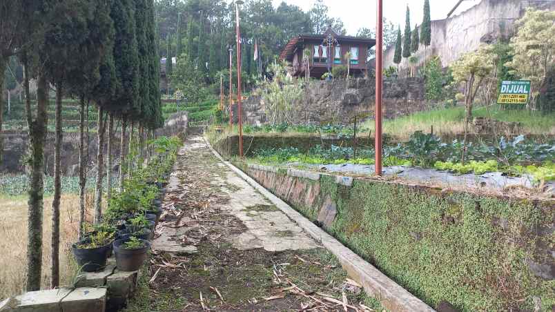 dijual tanah parompong