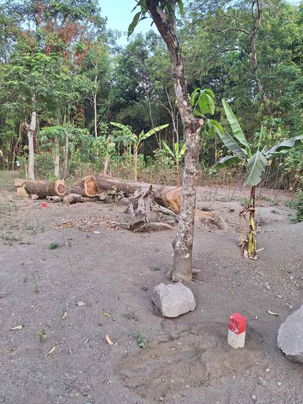 dijual tanah pekarangan joho