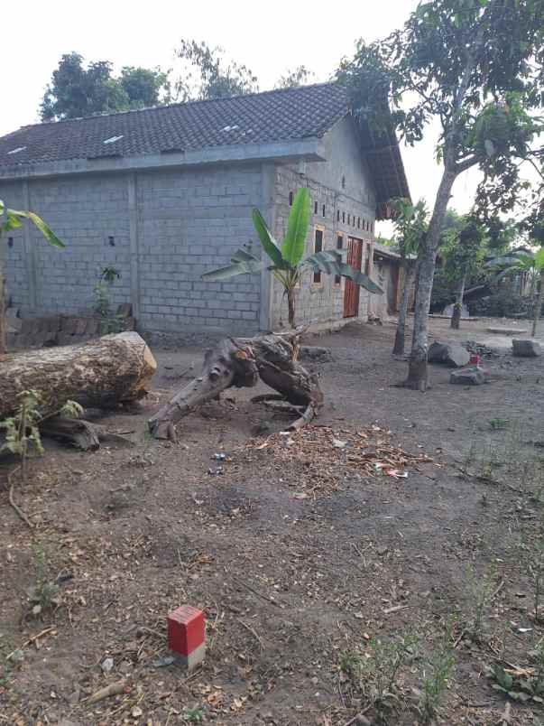 dijual tanah pekarangan joho