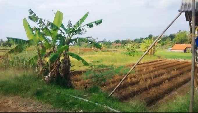 dijual tanah pinggir jalan