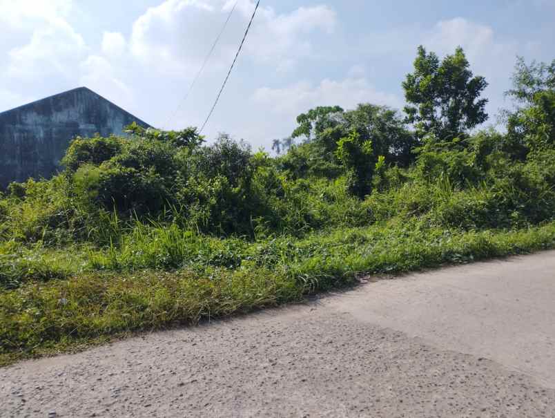 dijual tanah pinggir jalan lokasi srigading