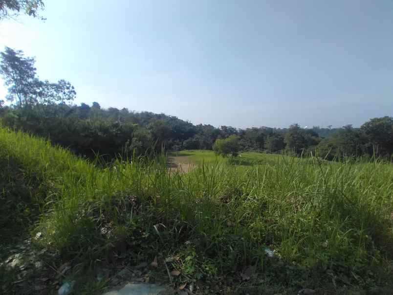 dijual tanah purwakarta