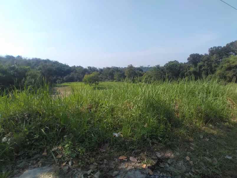 dijual tanah purwakarta