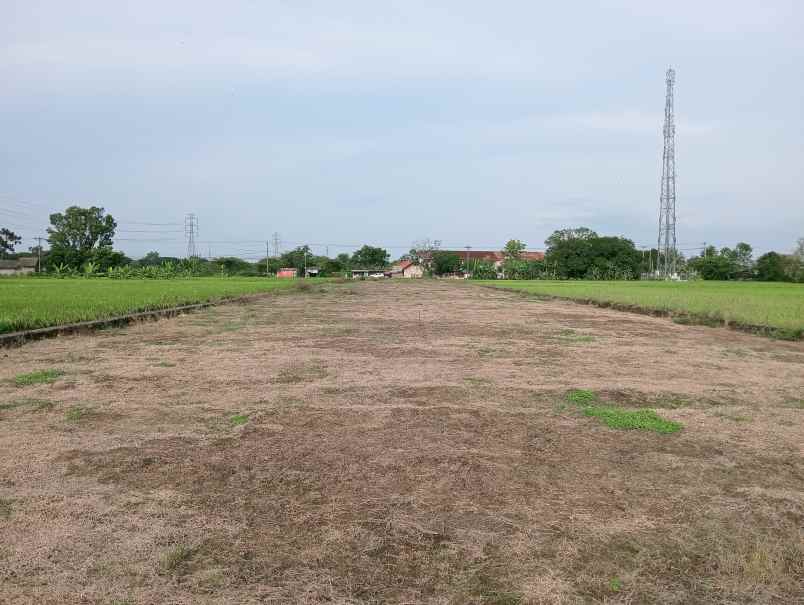 dijual tanah samping jalan raya jatibarang kadipaten