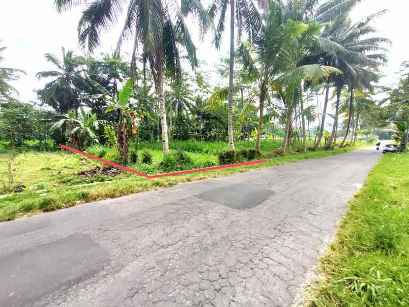 dijual tanah sawah di area sejuk jalan boyong pakem