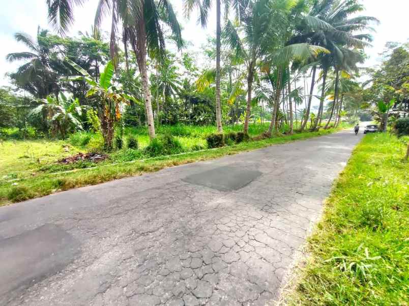 dijual tanah sawah di area sejuk jalan boyong pakem