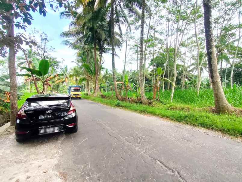 dijual tanah sawah di area sejuk jalan boyong pakem