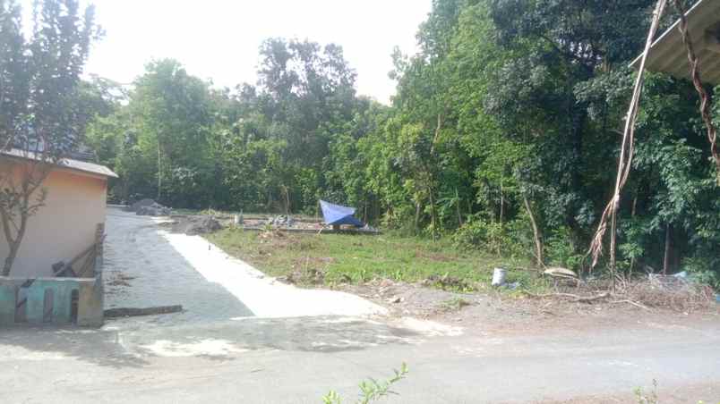 dijual tanah selatan jl wonosari jogja