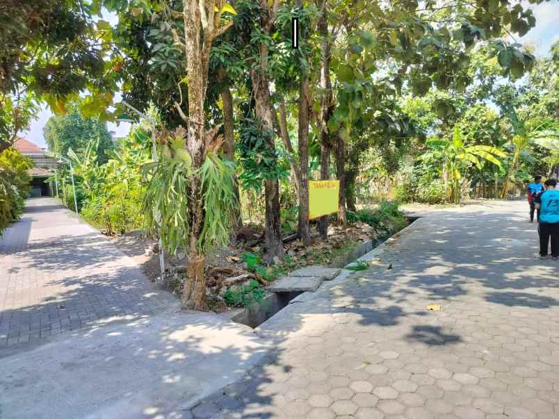 dijual tanah sewon bantul yogyakarta