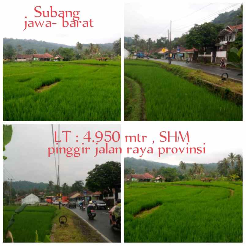 dijual tanah subang