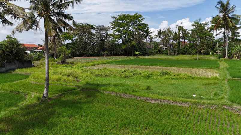 dijual tanah sukawati gianyar bali