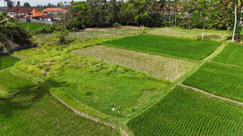 dijual tanah sukawati gianyar bali