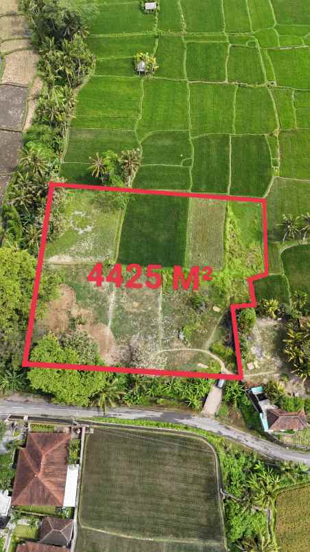 dijual tanah sukawati gianyar bali