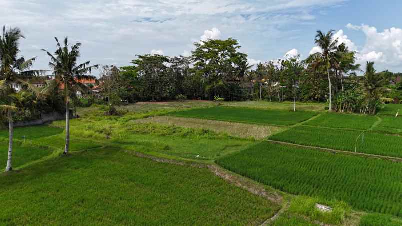 dijual tanah sukawati gianyar bali