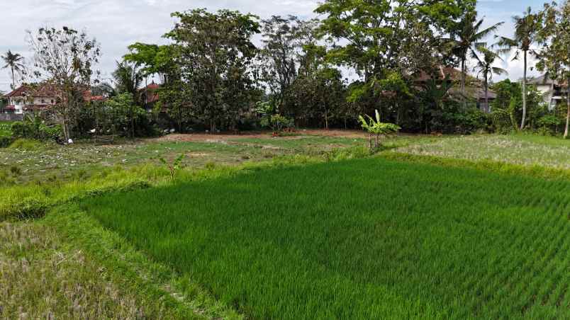 dijual tanah sukawati gianyar bali