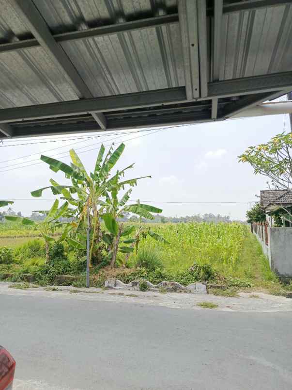 dijual tanah triharjo sleman