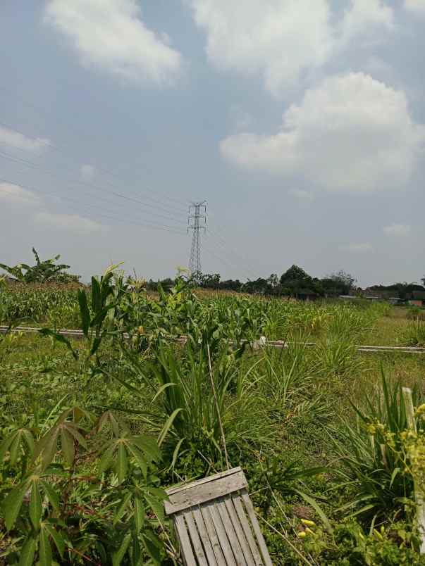 dijual tanah triharjo sleman