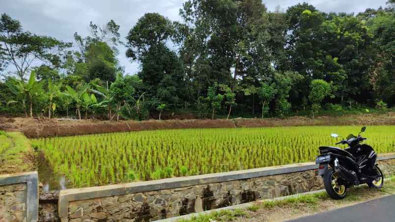 dijual tanah wanayasa