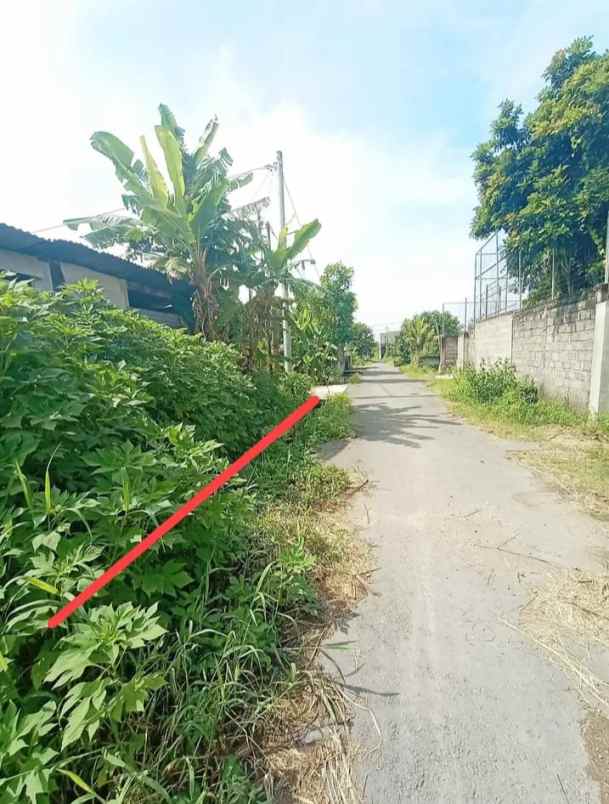 dijual tanah wiyoro