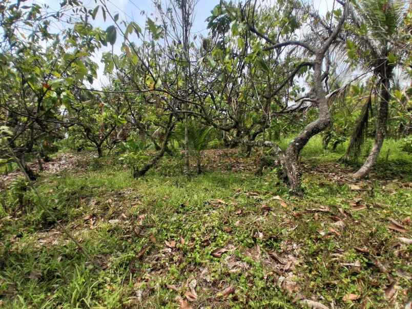 disewakan murah lahan dengan view laut dan sungai