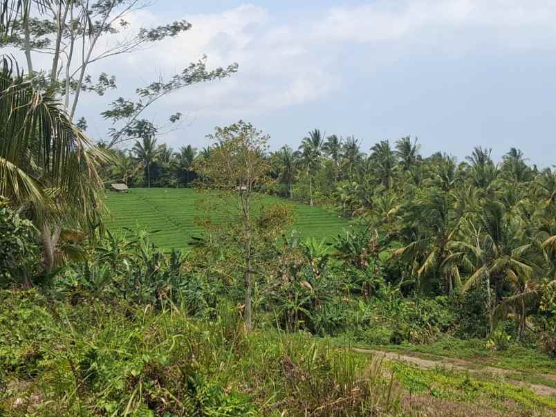 disewakan murah lahan dengan view laut dan sungai