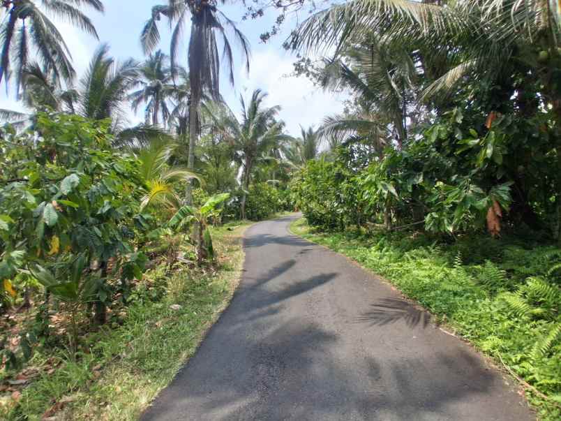 disewakan murah lahan dengan view laut dan sungai