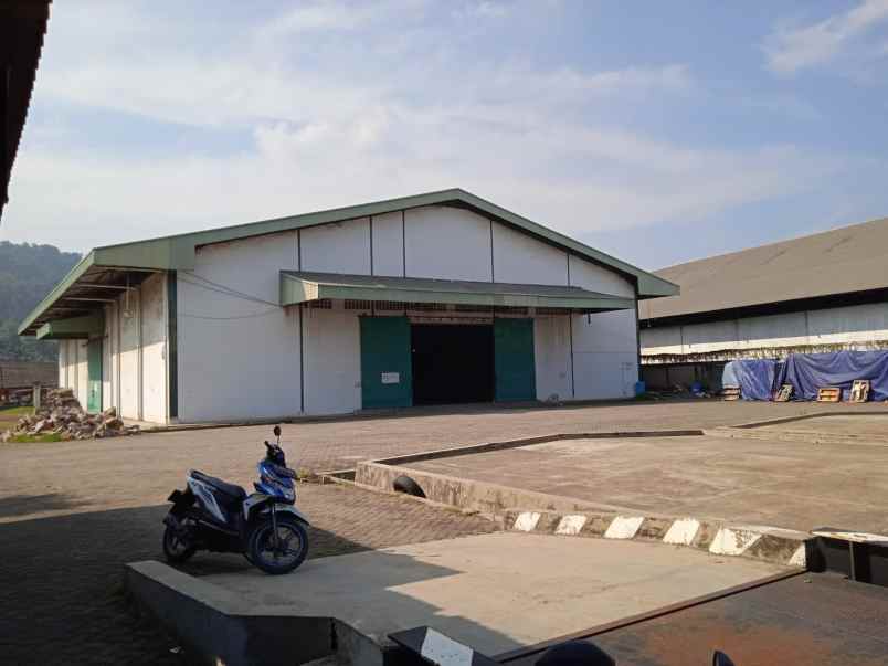 disewakan ruko gudang kantor way lunik