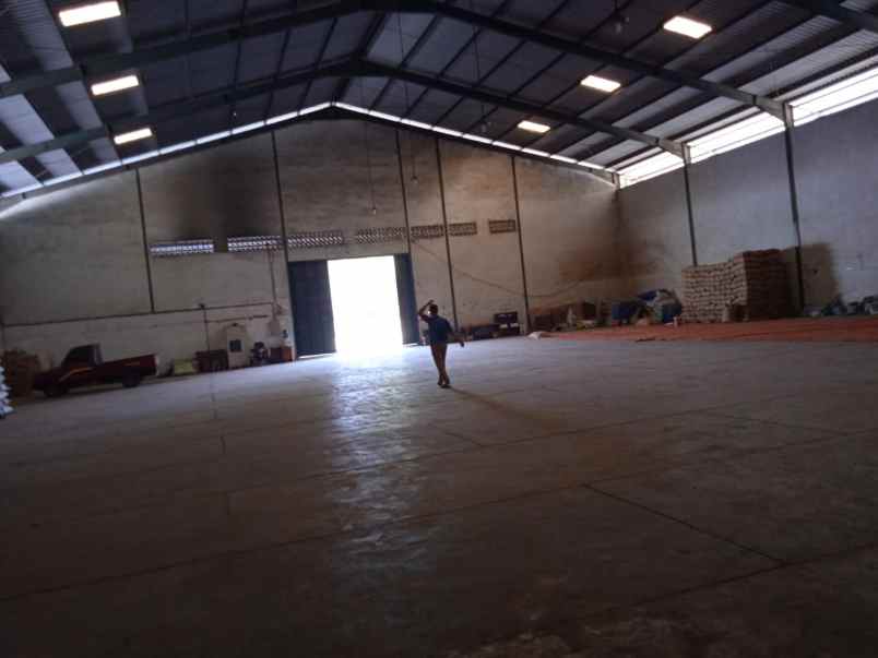 disewakan ruko gudang kantor way lunik