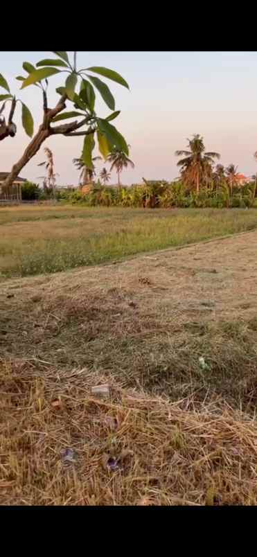 disewakan tanah jalan pantai munggu badung