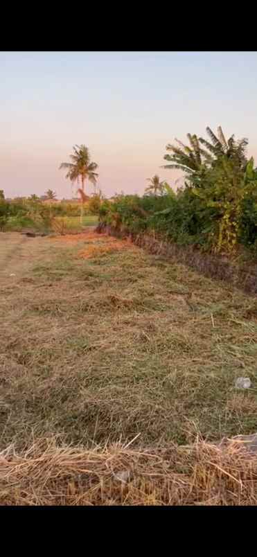 disewakan tanah jalan pantai munggu badung