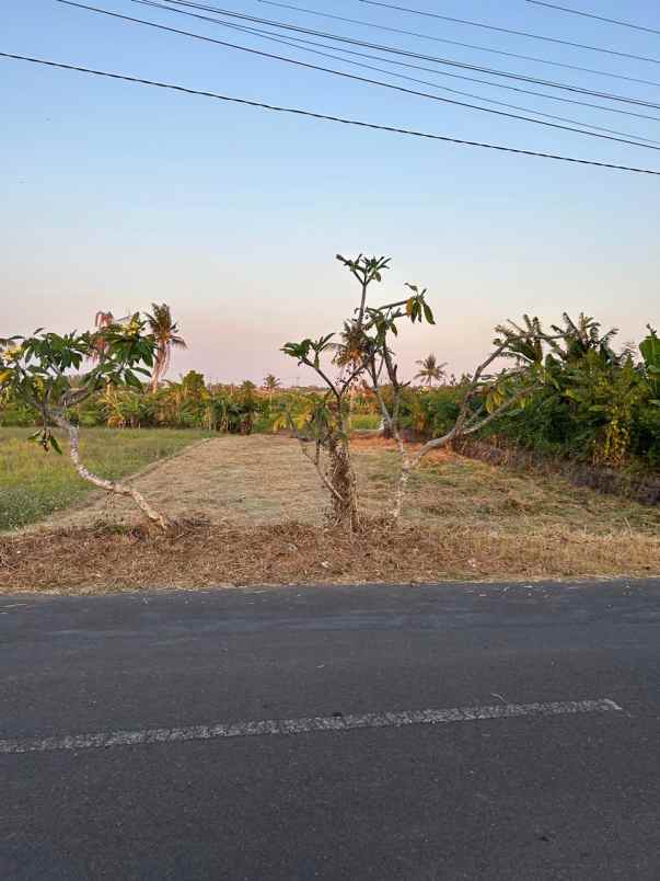 disewakan tanah jalan pantai munggu badung