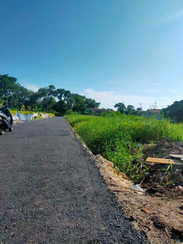 disewakan tanah kedungu tabanan bali