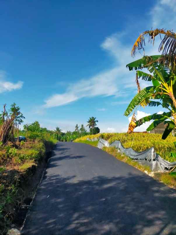 disewakan tanah kedungu tabanan bali