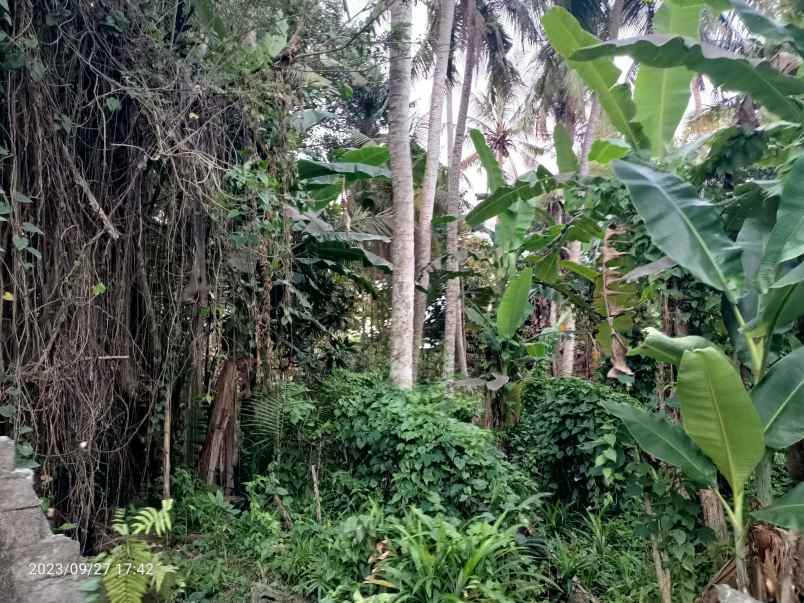 disewakan tanah kedungu tabanan bali