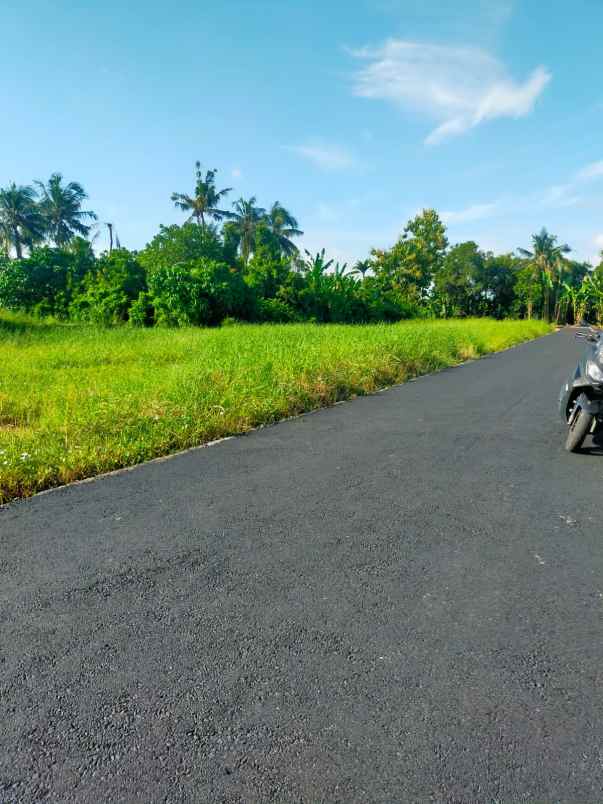 disewakan tanah kedungu tabanan bali