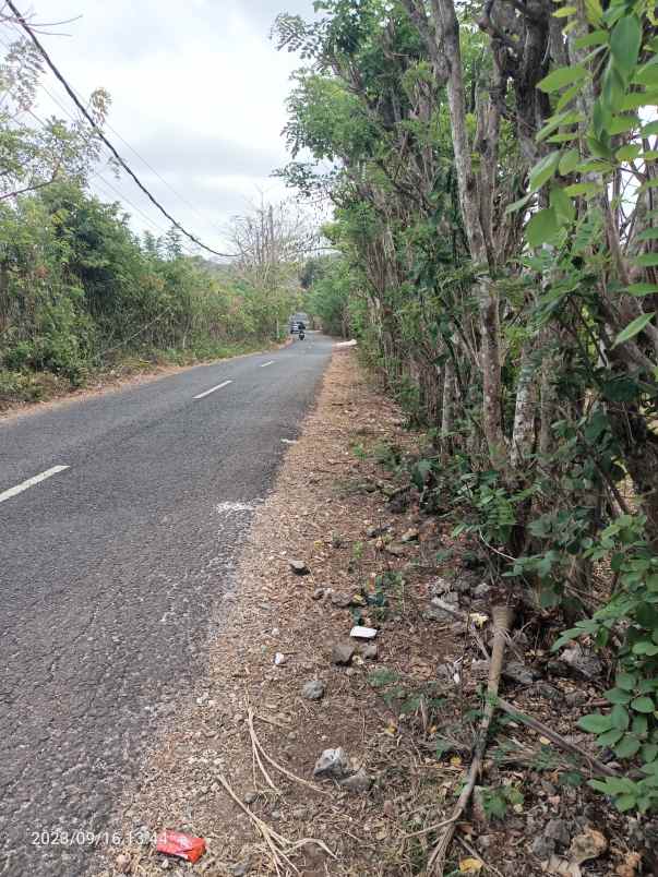 disewakan tanah ungasan badung bali