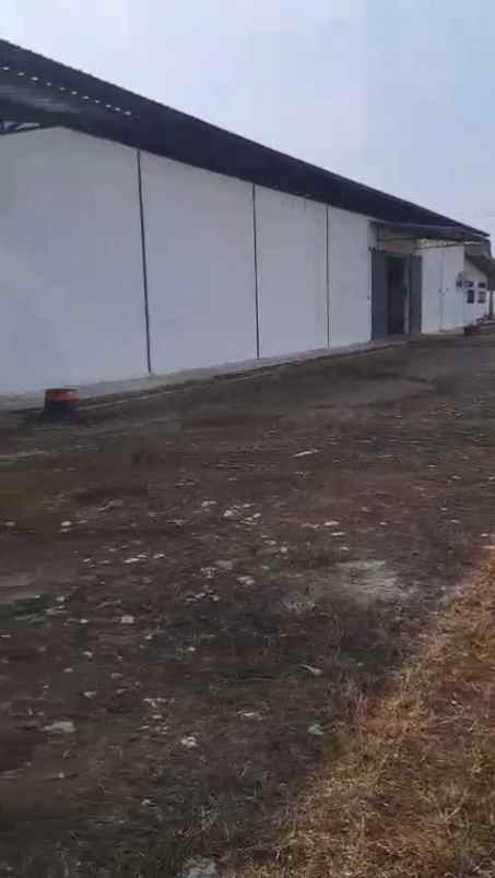 gudang premium di campang raya bandar lampung