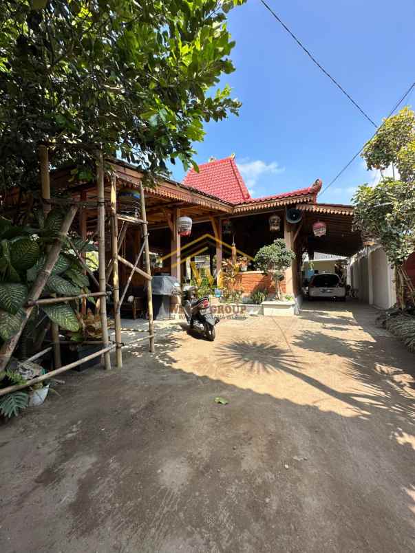 joglo jawa klasik di pakem sleman tanah luas banget