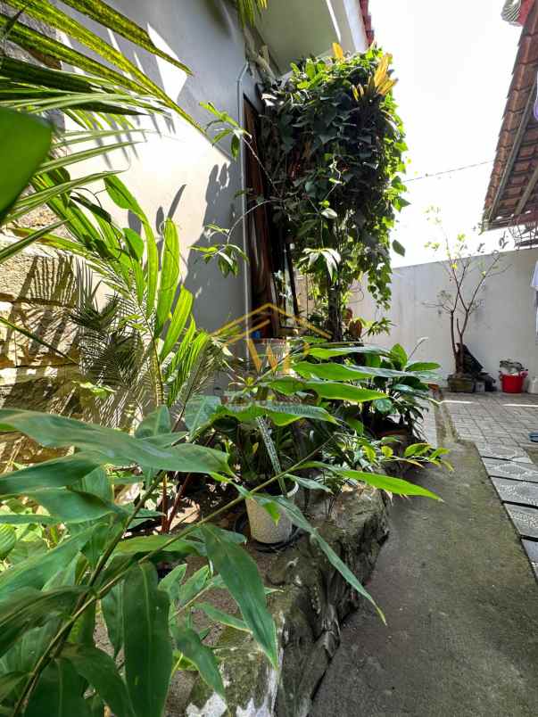 joglo jawa klasik di pakem sleman tanah luas banget