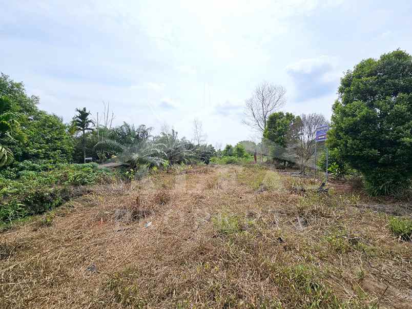 jual cepat harga sangat murah tanah cck investasi