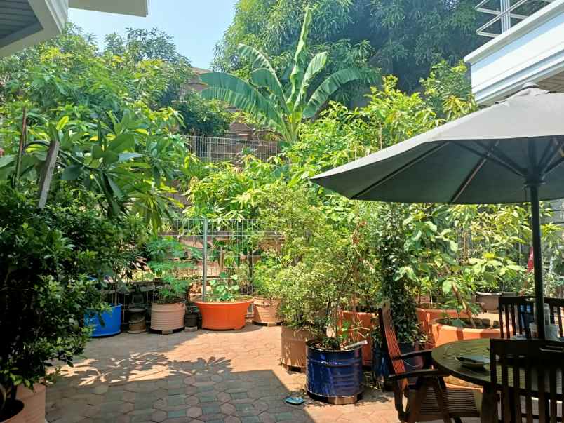 jual rumah ada kolam renang pribadi